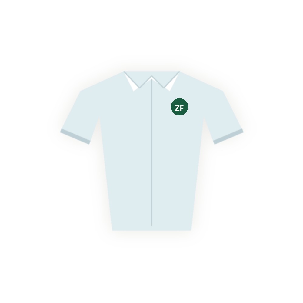 Business blouse